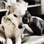 𝔹𝕠𝕟𝕟𝕚𝕖 ﹠ 𝕊𝕥𝕖𝕝𝕝𝕒 - @bonnieandstella_ - Instagram