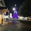 Bonnie Stella - @user349925 - TikTok