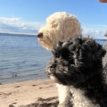 Bonnie&Stella - @bonnieostella - Instagram