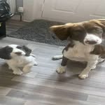 Stella & Bonnie - @stellaandbonnie25 - Instagram