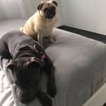STELLA AND BONNIE - @stella_bonnie_millie - Instagram