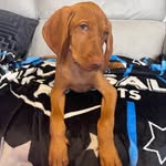 Stella - @bonnieweestella - Instagram
