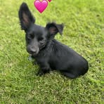 Bonnie Stephens - Facebook