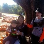 Bonnie Stephens - @bstephens7162 - Instagram
