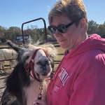 Bonnie Stephens - @bonniestephens8200 - Instagram