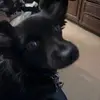 Max stephens - @bonnie.stephens29 - TikTok
