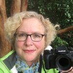 Bonnie Stern Wasser, Esq. - @wasserimmigrationlaw - Instagram