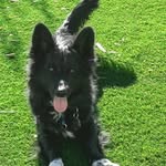Bonnie Steward - @bsteward1959 - Instagram