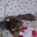 Bonnie Steward - Facebook