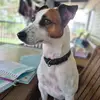 Bonnie - @bonnie_stewart211 - TikTok