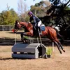 Bonnie Stewart - @bonnie_eventing2 - TikTok
