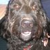 Bonnie Stith - Facebook