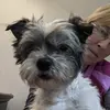 bonniestocki - @bonniestocki - TikTok