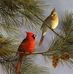 Bonnie F Stockard - Facebook