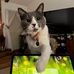 Bonnie Stoffel - Facebook