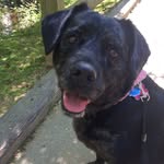 Bonnie🐾 - @bonnie_stolle - Instagram