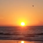 Bonnie Stoll - Facebook