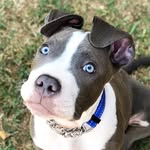 Bonnie Stoll - @bonniestoll - Instagram
