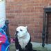 Bonnie Stone - Facebook