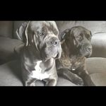 Bonnie Jo and Storm Axel - @bj_n_sa - Instagram