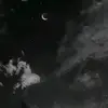 bonniestormm - @bonniestormm - TikTok