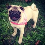 Bonnie - @bonniestory20 - Instagram