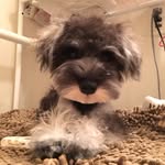 BONNIE_story - @bonnie_yamaguchi - Instagram