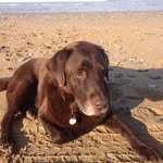 Bonnie Sullivan - @bonniesullivan3762 - Instagram