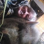 Bonnie Thatcher - @bonnie.thatcher.5 - Instagram