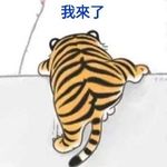 Bonnie Tsui - @tsui_bonnie - Instagram