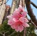Bonnie Wan - Facebook