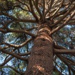 Bookerhill - @bookerhilljul - Instagram