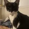 Bonnie - @bonnie.mclaughlin - TikTok