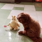 Bor Lee - @borleeleebor - Instagram