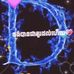Bor Lee - Facebook