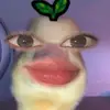 Borlee 🫶 - @bor_lee2006 - TikTok