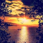 Bora Karaca - @bora5395 - Instagram