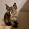 borarin - @borarin2004 - TikTok
