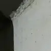 borasong3465 - @borasong3465 - TikTok