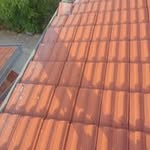 Bora Stojkovic - @stojkovic7298 - Instagram