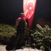 Boran Ünal - Facebook