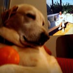 Yalçın Boratap - @yalcinboratap - Instagram