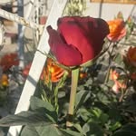 gulim07 - @borayimova_guli - Instagram