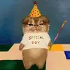 Yimbora - @yimboratk - TikTok