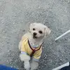 BORAM CHOE - @boram.choe - TikTok
