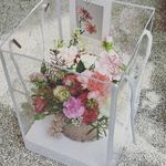 Boram Jang - @wani2me - Instagram