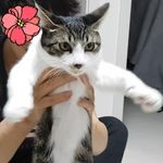 Boram Jang - @boram_0904 - Instagram