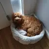 bored person - @jacobruttt08 - TikTok