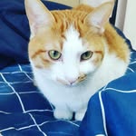 Boreum - @boreum_kim_ - Instagram