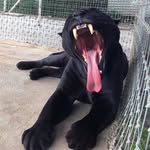 @borg_warner_b03 - Instagram